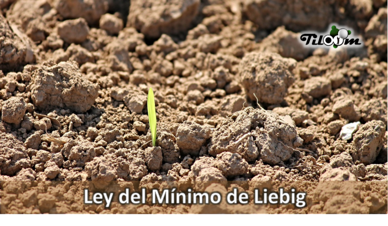 Página de rosto da entrada do blogue Lei do Mínimo de Liebig