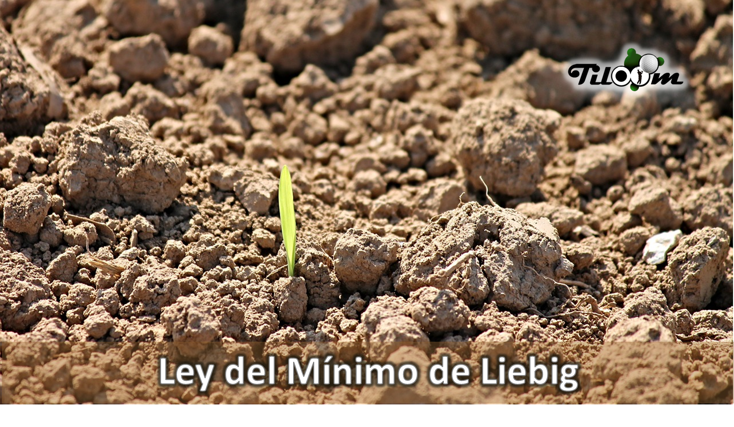 Portada de la entrada de blog Ley del mínimo de liebig