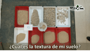 Tiloom - Soil texture: Find out your soil type easily - Soil texture homepage