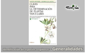 Tiloom - Identificazione delle specie cespitose - Informazioni generali - Adattamento delle specie cespitose - Pagina 5