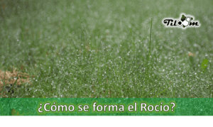 Tiloom – Taupunkttemperatur – Startseite