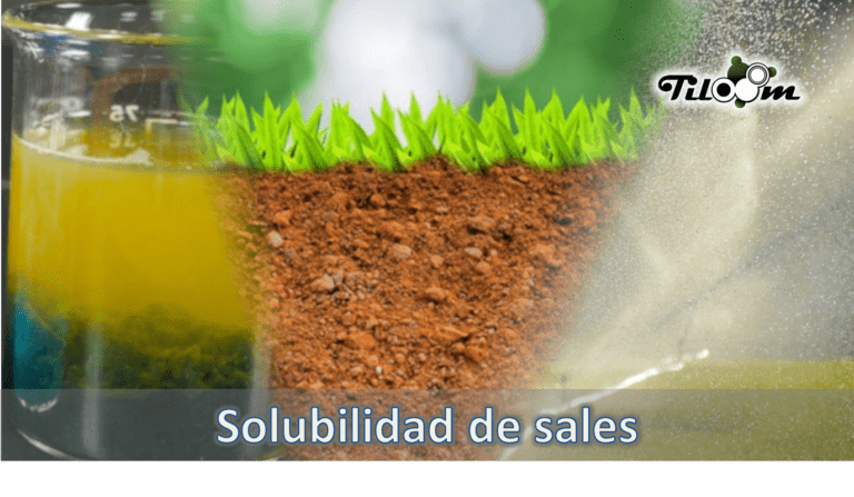 Tiloom - Solubilidade das sais: como combater a salinidade e recuperar as culturas - salinidade - página inicial