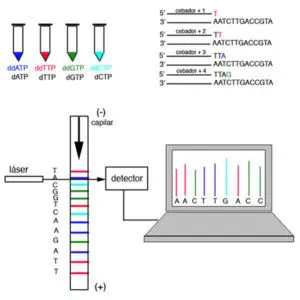 Tiloom - Análisis del microbioma: la tecnología que transforma tu suelo - 561092463 Tiloom - Análisis del microbioma: la tecnología que transforma tu suelo - 561092463