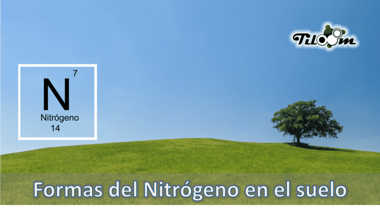 Tiloom – Natural forms of nitrogen – Front page text
