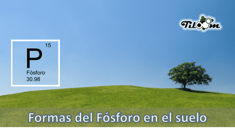 Tiloom – Forms of phosphorus in the soil – Front cover and text