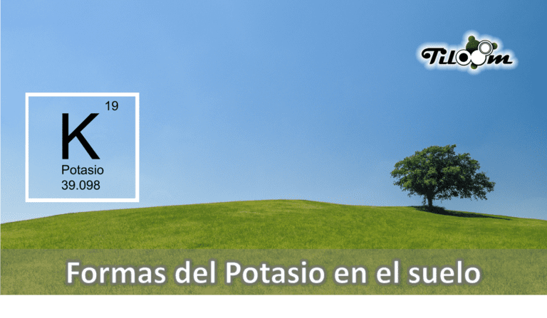 Tiloom – Forms of potassium in the soil – cover k