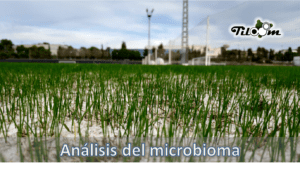 Tiloom - Analyse du microbiome : la technologie qui transforme votre sol - Image 1