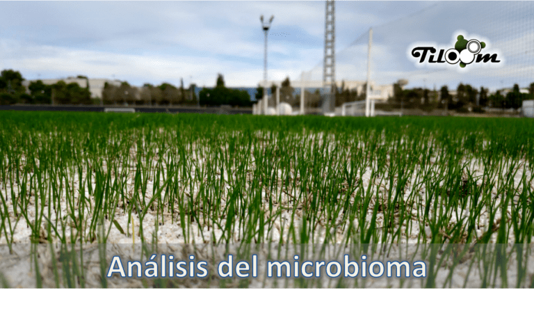 Tiloom – Microbiome analysis: the technology that transforms your soil – Image 1