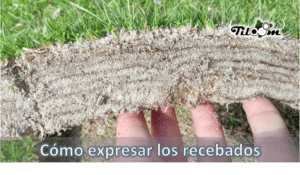 Tiloom – Angabe der Dosierung für die Nachdüngung / Topdressing – Nachdüngungen