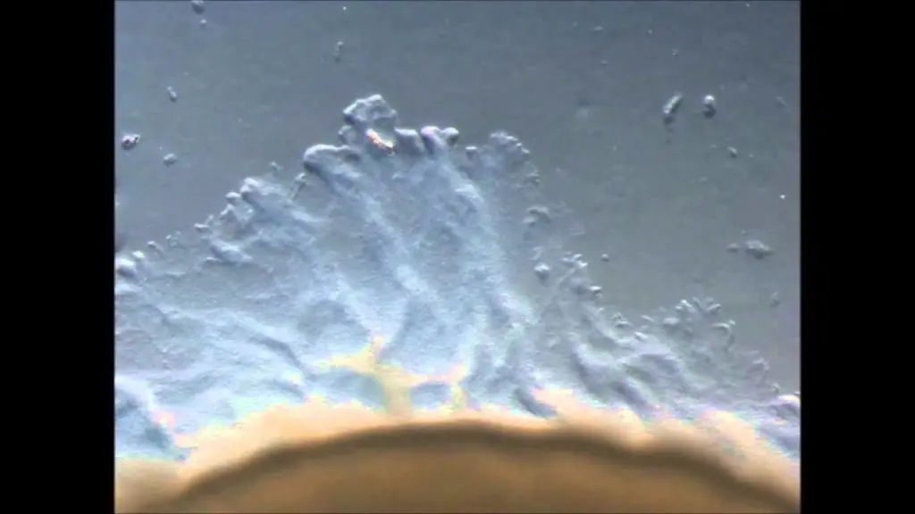 Tiloom – Exopolysaccharide – Agrobiotechnologie für Rasenflächen – maxresdefault Tiloom – Exopolysaccharide – Agrobiotechnologie für Rasenflächen – maxresdefault