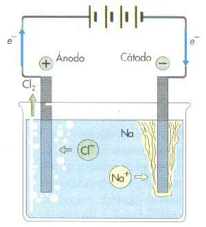 Tiloom - Chloration par électrolyse du sel : la méthode qui révolutionne l'irrigation - Electr1 Tiloom - Chloration par électrolyse du sel : la méthode qui révolutionne l'irrigation - Electr1