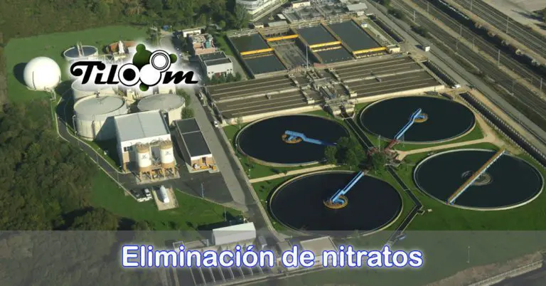 Tiloom – How to safely remove nitrates from water – Nitrate removal