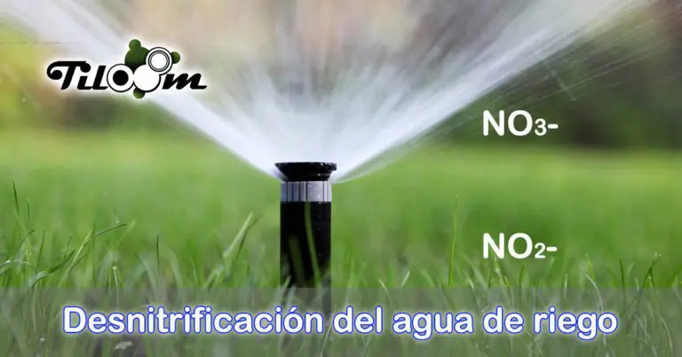 Tiloom – Denitrification of irrigation water to reduce nitrate levels – denitrification