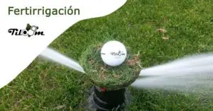 Fertirrigación en campos de golf