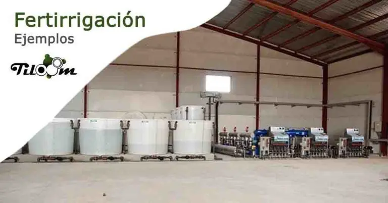 Fertigation in golf