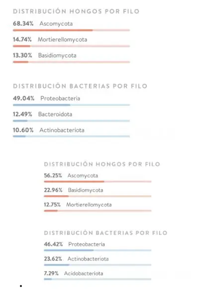 Tiloom - Analyse des données agronomiques pour optimiser le sol - Différences entre un microbiome neutre, basique et acide 1 Tiloom - Analyse des données agronomiques pour optimiser le sol - Différences entre un microbiome neutre, basique et acide 1