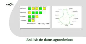 Tiloom - Analisi dei dati agronomici per l'ottimizzazione del suolo - analisi dei dati agronomici