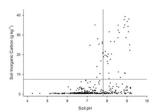 Tiloom – Sports surface profiles: distinguishing features – Soil inorganic C and CO₂ Tiloom – Sports surface profiles: distinguishing features – Soil inorganic C and CO₂