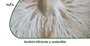 Tiloom - Gestão eficiente e sustentável - Gestão eficiente e sustentável