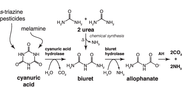 Tiloom – Biuret in foliar fertilisers: risks and prevention – 2 Figure 1 1