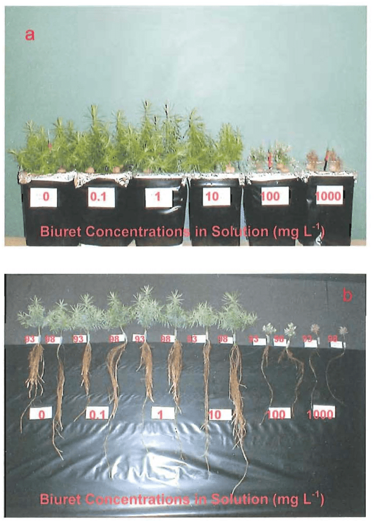Tiloom – Biuret in foliar fertilisers: risks and prevention – 45 Figure 2 9 1 1