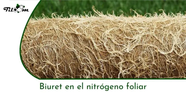Tiloom – Biuret in foliar fertilisers: risks and prevention – Greenkeepedia home page