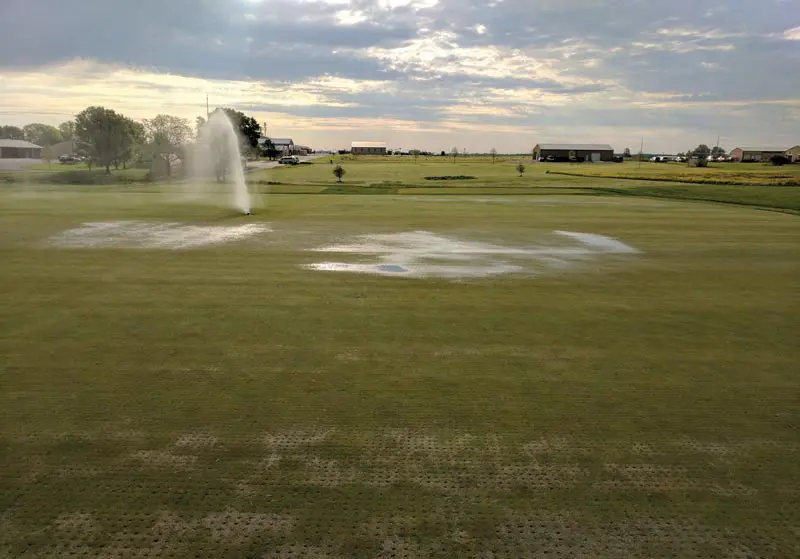 Tiloom - TRY NUTRY WET 10 L - Humectante 15% - wetting agents
