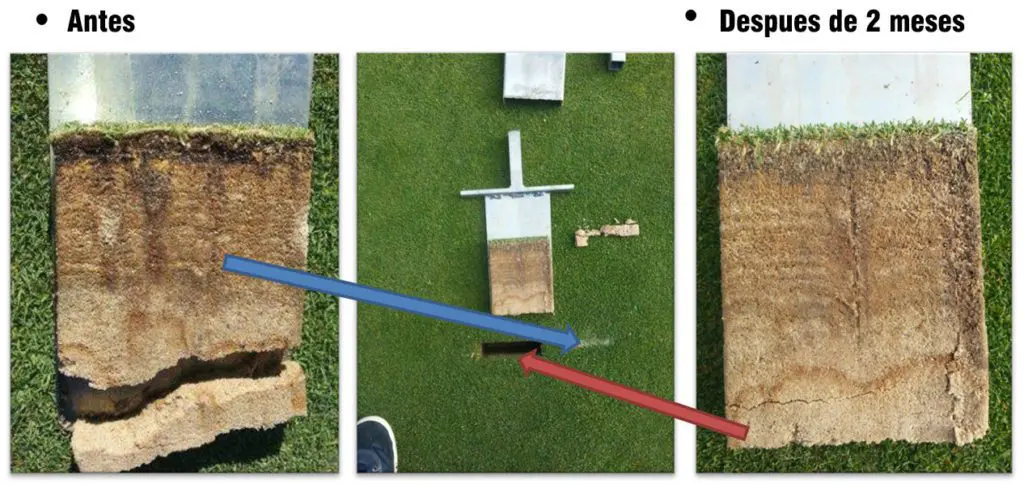 Tiloom - Riduzione della materia organica nel profilo del suolo con OxyTurf - 1595588417987 1
