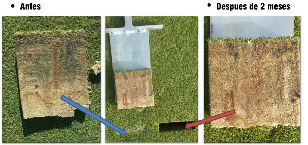Tiloom - Riduzione della materia organica nel profilo del suolo con OxyTurf - 1595588417987