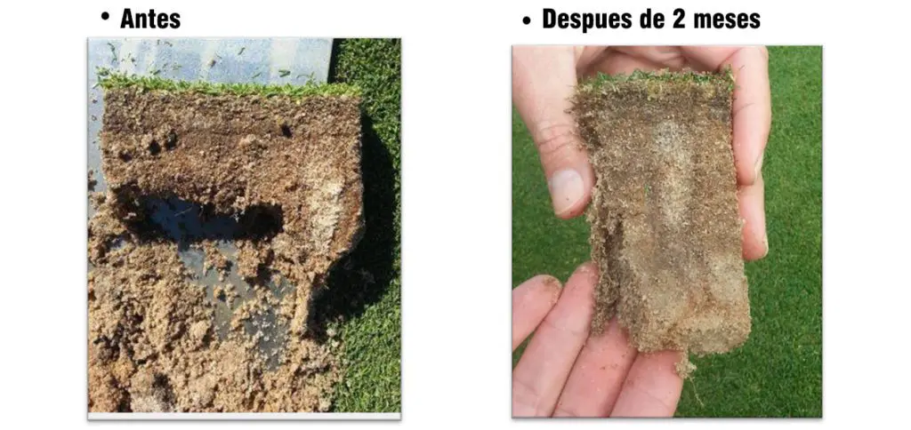 Tiloom - Riduzione della materia organica nel profilo del suolo con OxyTurf - 1595588417987 2
