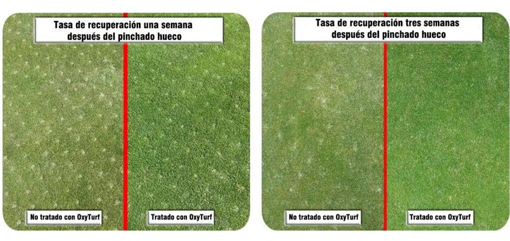 Tiloom - Riduzione della materia organica nel profilo del suolo con OxyTurf - 1595588417987 3