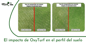 Tiloom – Reduction of organic matter in the soil profile using OxyTurf – Greenkeepedia 18 homepage