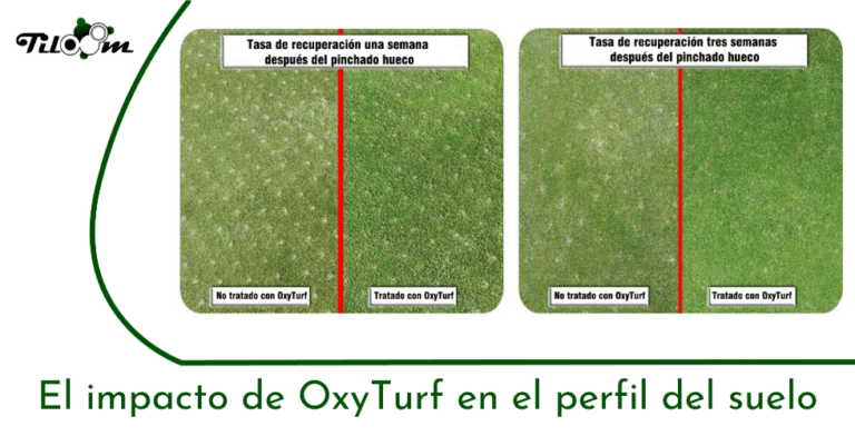 Tiloom - Réduction de la matière organique dans le profil du sol grâce à OxyTurf - Page d'accueil de Greenkeepedia 18