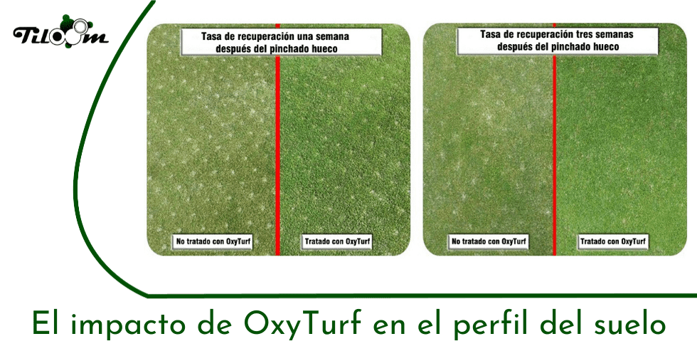 Tiloom - Riduzione della materia organica con OxyTurf nel profilo del suolo - Pagina iniziale di Greenkeepedia 18