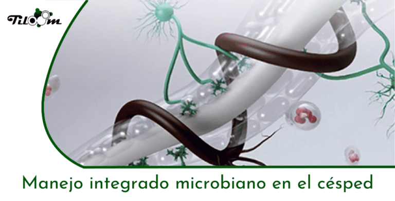 Tiloom – Integrated microbial management in turf – Greenkeepedia 21 home page
