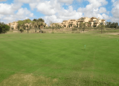 Tiloom - How to maintain irrigation sprinklers? - Rain gauges on greens Tiloom - How to maintain irrigation sprinklers? - Rain gauges on greens
