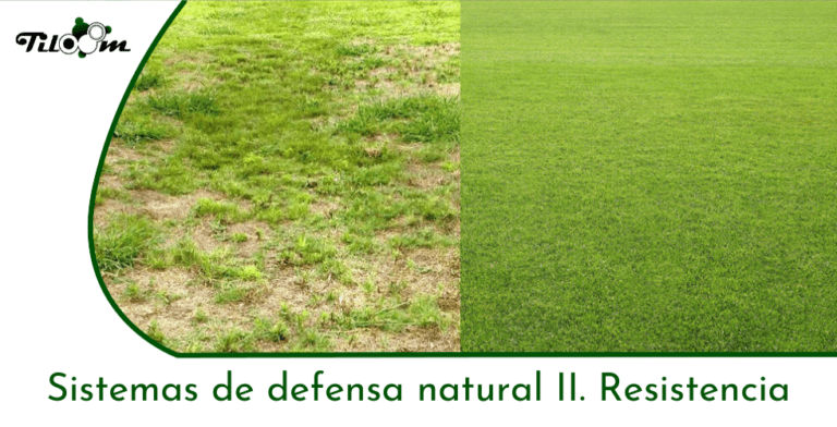 Tiloom – Natural Defence Systems II. Active and Passive Resistance – Greenkeepedia Home Page