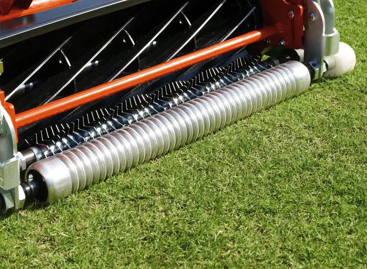 Tiloom - Lawn Disease Detection I: Bacterial Wilt - Eclipse Groomer jpg Tiloom - Lawn Disease Detection I: Bacterial Wilt - Eclipse Groomer jpg
