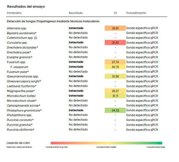 Tiloom - PhytAlert Turf y técnica de qPCR: clave para enfermedad del césped - Técnica de qPPCR 5 Tiloom - PhytAlert Turf y técnica de qPCR: clave para enfermedad del césped - Técnica de qPPCR 5