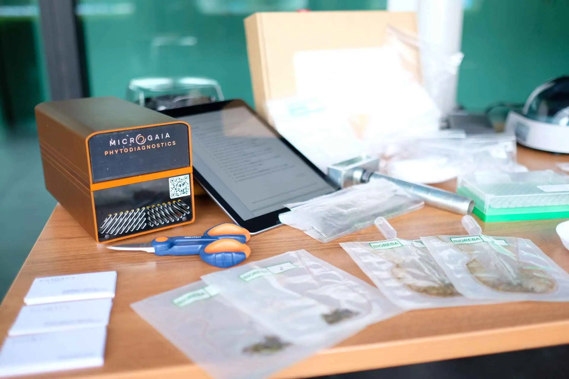 phytfieldlab microgaia tiloom kit details