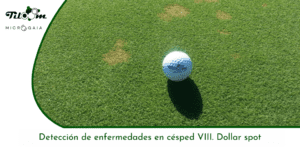 Tiloom - DETECCIÓN DE ENFERMEDADES EN CÉSPED VIII. DOLLAR SPOT - Portada de entrada Greenkeepedia 10