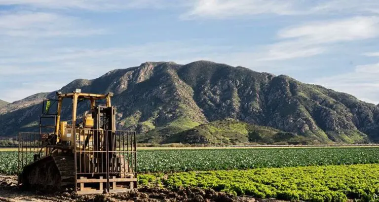 Tiloom - Superfícies Desportivas - Secção de Agricultura Tiloom Soluções Tecnológicas 2