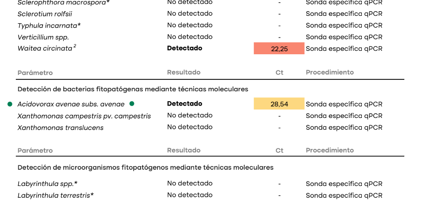 Tiloom - Detección de enfermedades en césped IX: Acidovorax avenae - Captura de pantalla 2023 05 27 221632 Tiloom - Detección de enfermedades en césped IX: Acidovorax avenae - Captura de pantalla 2023 05 27 221632