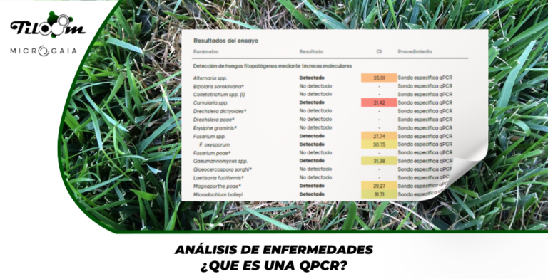 Tiloom – Disease analysis using qPCR – Greenkeepedia homepage 25