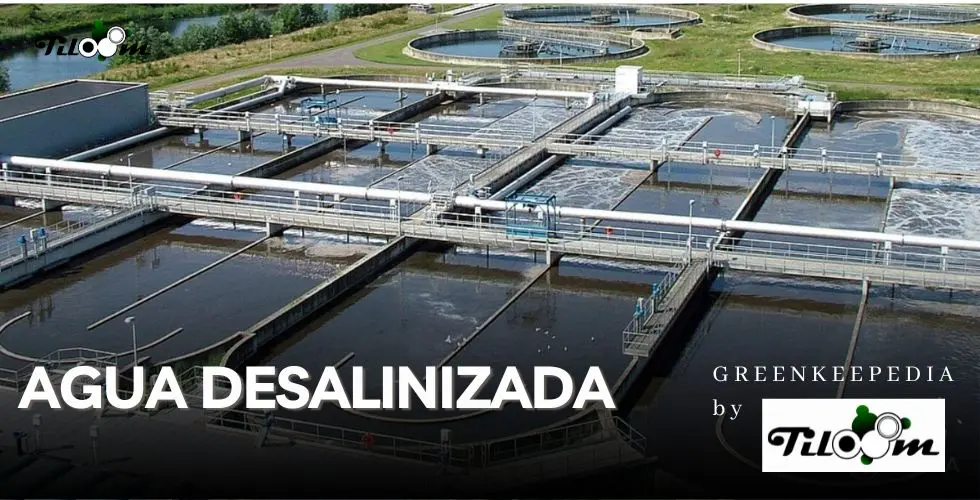Tiloom – Desalinated water. Points to bear in mind – TEMPLATE FOR POSTS 2