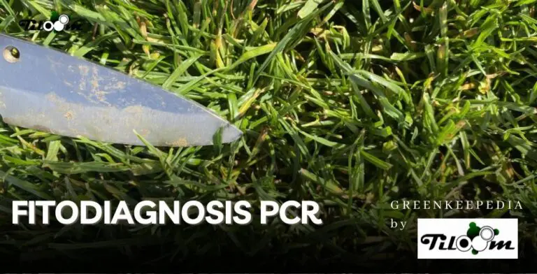 Tiloom - Kit de phytodiagnostic par PCR. Diagnostic des maladies du gazon par microscopie et réaction en chaîne par polymérase (PCR) - MODÈLE POUR 4 ÉCHANTILLONS