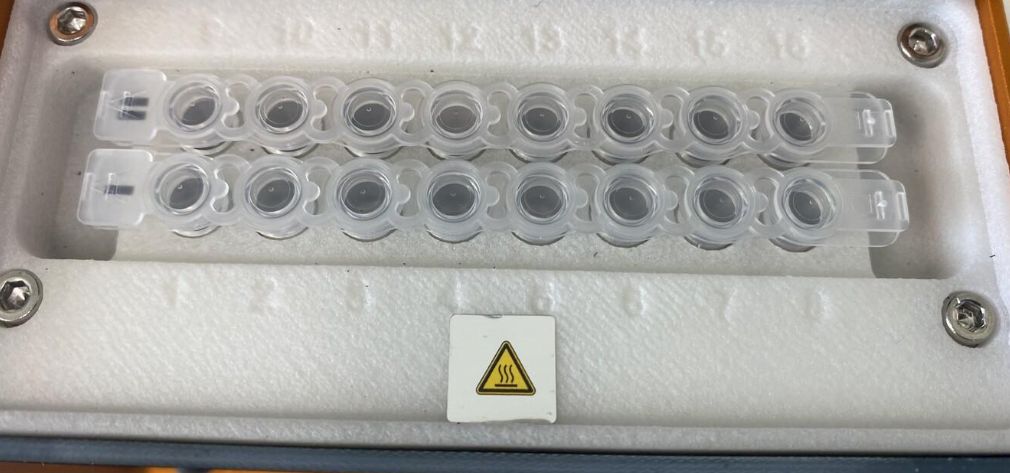 Tiloom - Kit de phytodiagnostic par PCR. Diagnostic des maladies du gazon par microscopie et réaction en chaîne par polymérase (PCR) - image 5 Tiloom - Kit de phytodiagnostic par PCR. Diagnostic des maladies du gazon par microscopie et réaction en chaîne par polymérase (PCR) - image 5