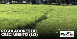 Tiloom - PGR Reguladores del crecimiento. Introducción (1/3) - PLANTILLA PARA ENTRADAS 10