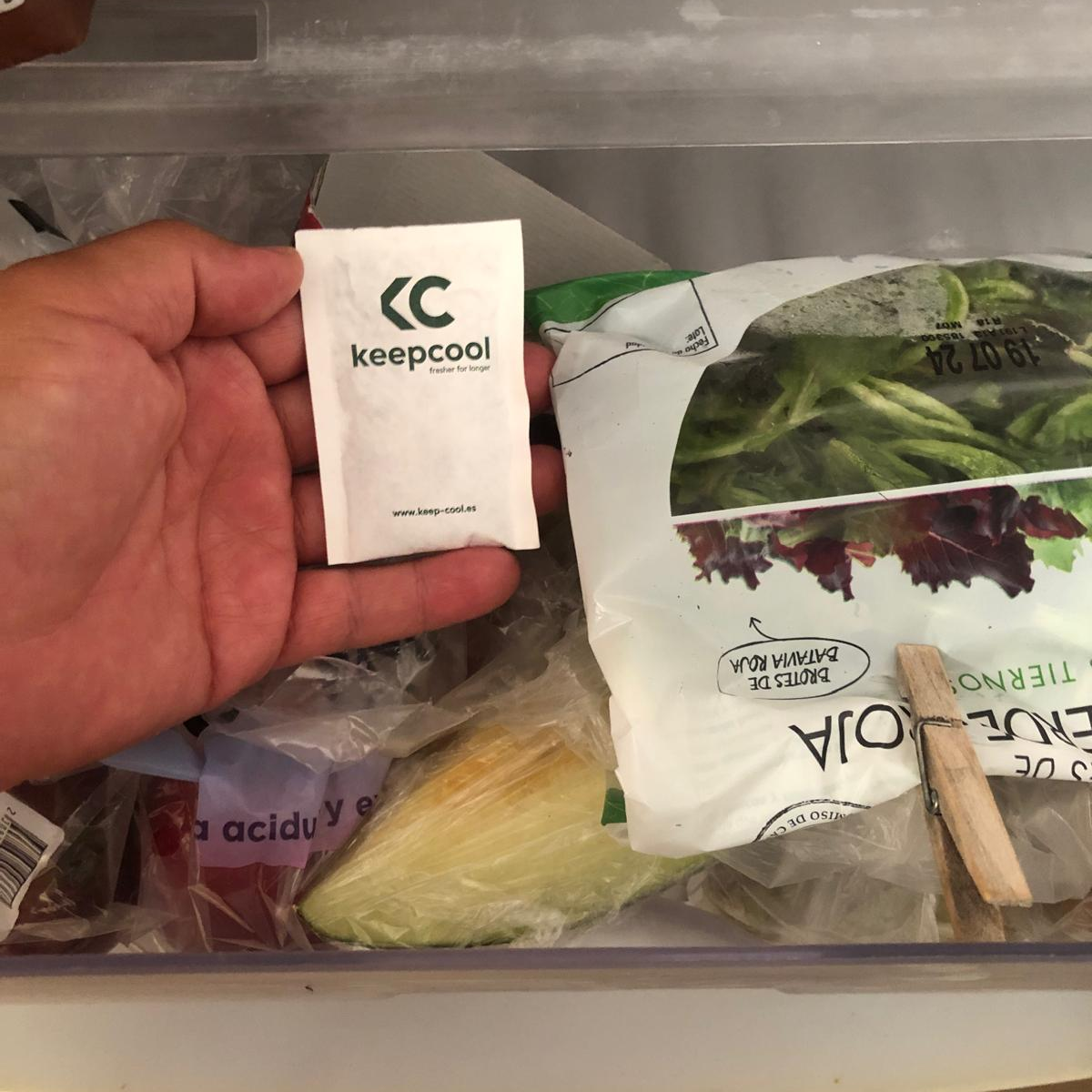 Tiloom - KeepCool: The solution for transporting and storing turf - image 36 edited