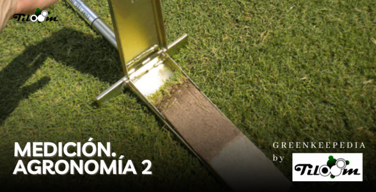 Tiloom - Measurement. Agronomy 2 - ENTRY TEMPLATE 2